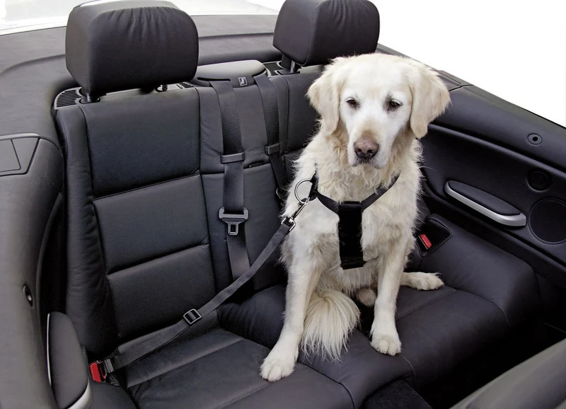 KERBL CANE PETTORINA REGOLABILE PER AUTO TG. "XL" NERO