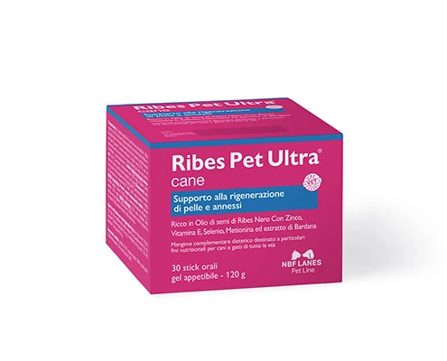 RIBES PET ULTRA CANE CF. (30 STICK) 120 GR