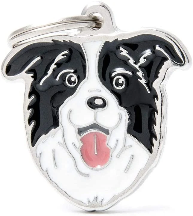 MY FAMILY MEDAGLIETTA BORDER COLLIE