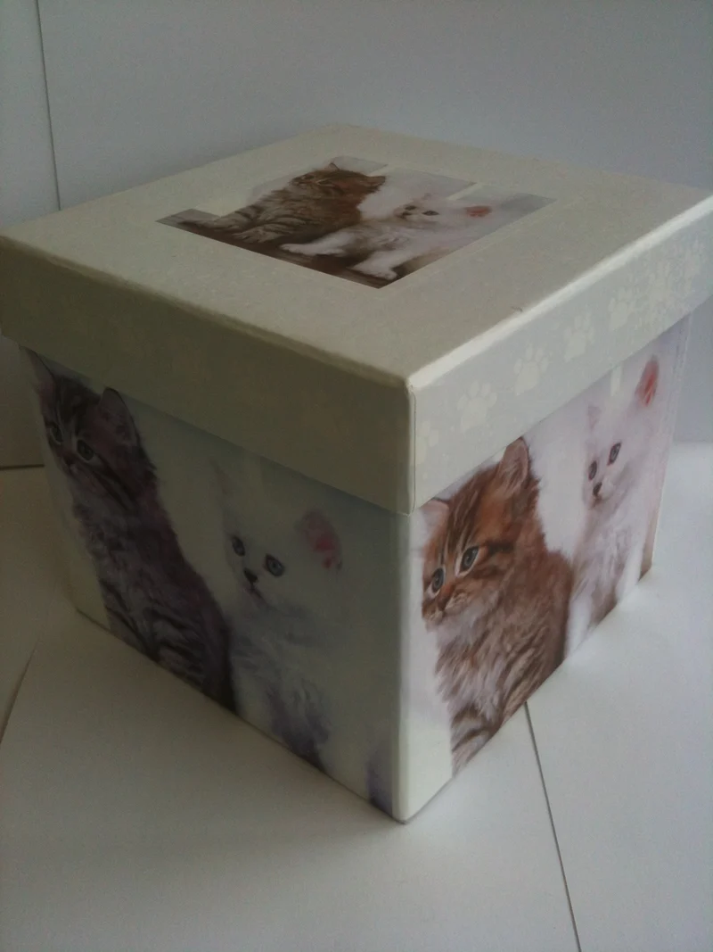 SCATOLA ANIMALI 17x17x16cm