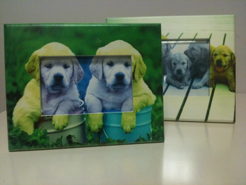 CORNICE IMMAGINE ANIMALI 10 x 15