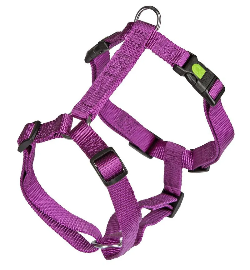 KERBL CANE PETTORINA MIAMI MODELLO H 75-100 CM VIOLA