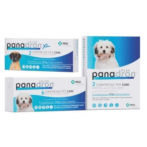 PANADRON PLUS "XL" 2 CPR