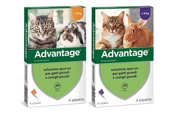 ADVANTAGE SPOT ON 80 GATTO/CONIGLIO DI PESO >4Kg