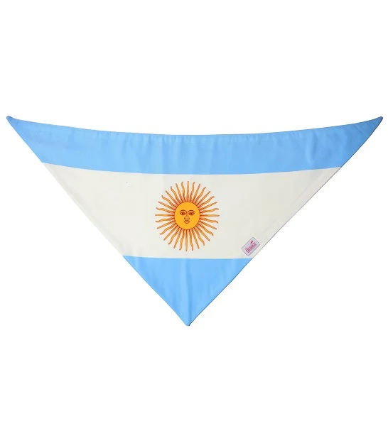 ZiggyDog Argentina Flag Dog & Cat Bandana