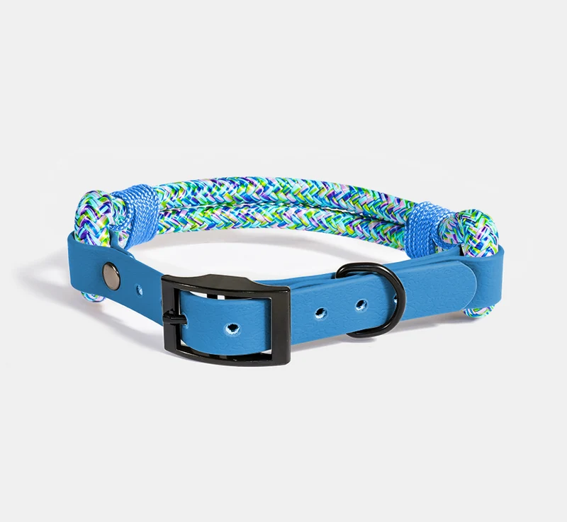 RINGHIO Collare Smile Col. TANGARA per Cani