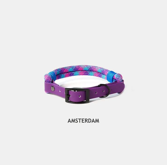 RINGHIO Collare Smile Col. AMSTERDAM per Cani