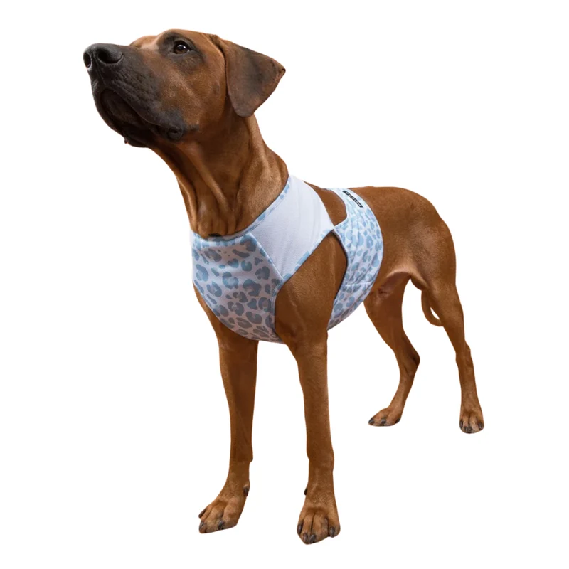PAIKKA Cool Vest Snow Leo for Dogs