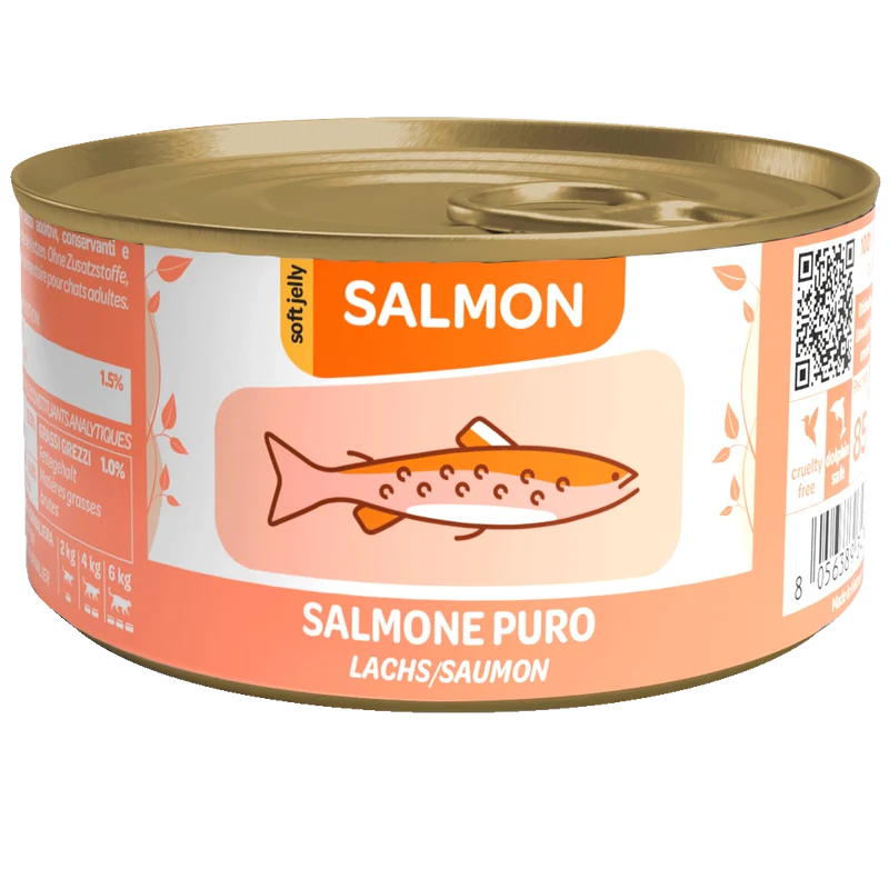 WeNature Umido Gatto con Salmone Naturale Fatto a Mano in Jelly 85g